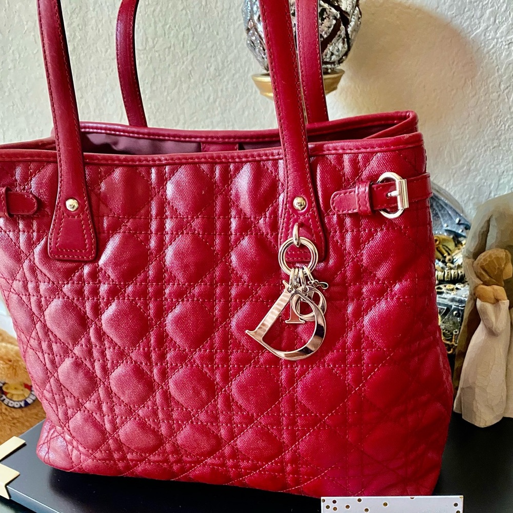Dior Carnage Tote